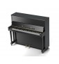 Grotrian - Steinweg Momentum GM22 Mira Silencieux